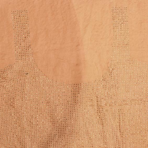 Twamev Women Beige Elegance Net Saree
