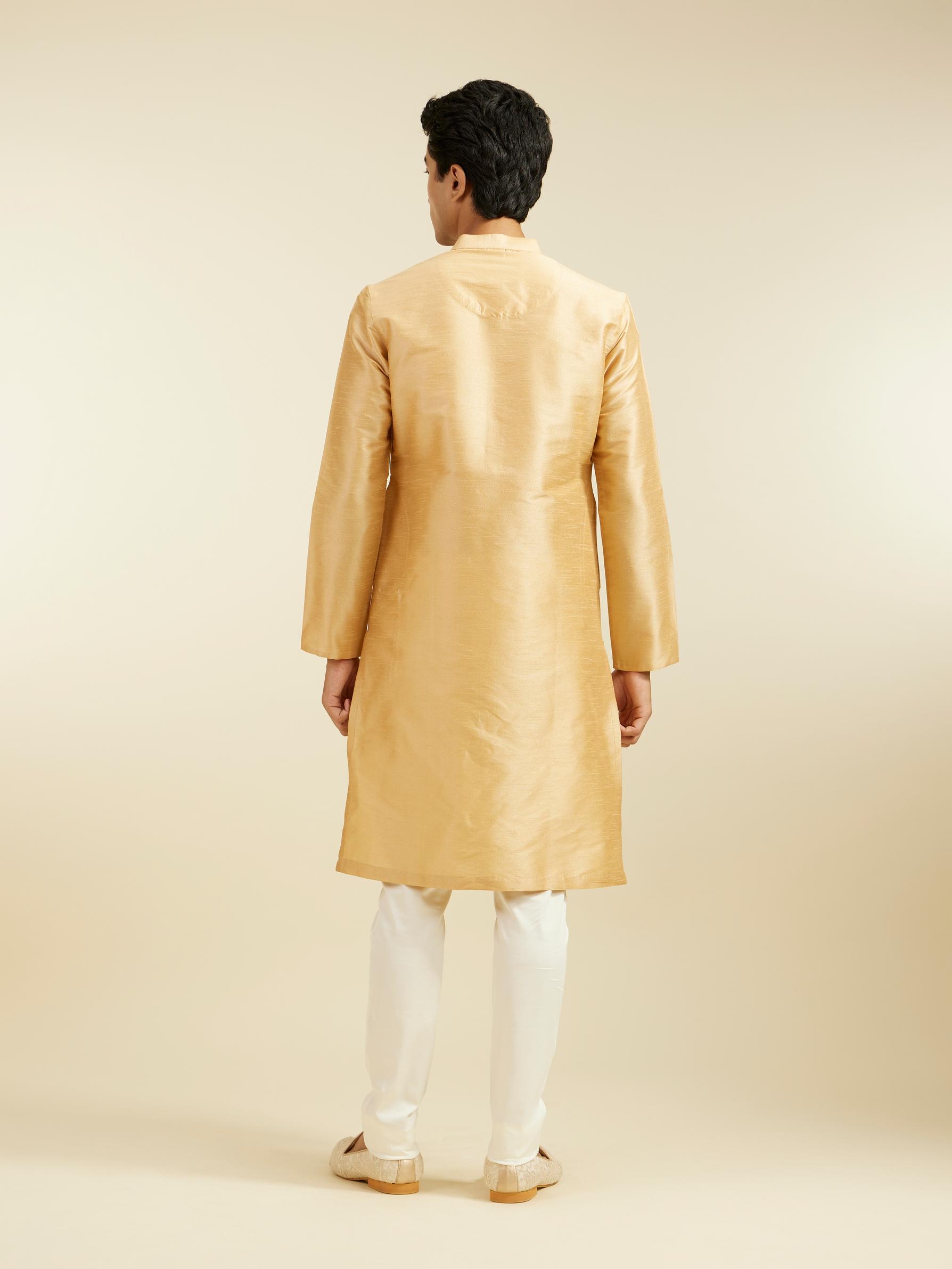 Diwas Men Light Fawn Plain Classic Kurta