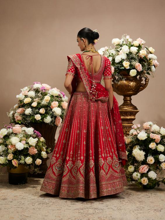 Twamev Women Rani Red Linear Patterned Lehenga with Floral Buta Motifs And Bel Buti Borders