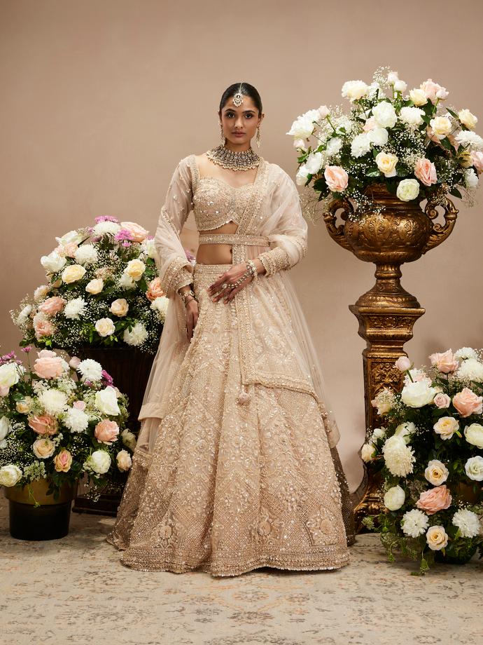 Twamev Women Honey Peach Jaal Patterned Lehenga with Floral Buta Motifs And Sequin And Stone Work