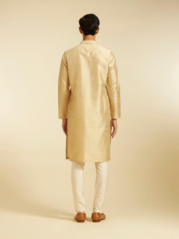 Diwas Men Sand Beige Self Textured Kurta with Embroidered Placket