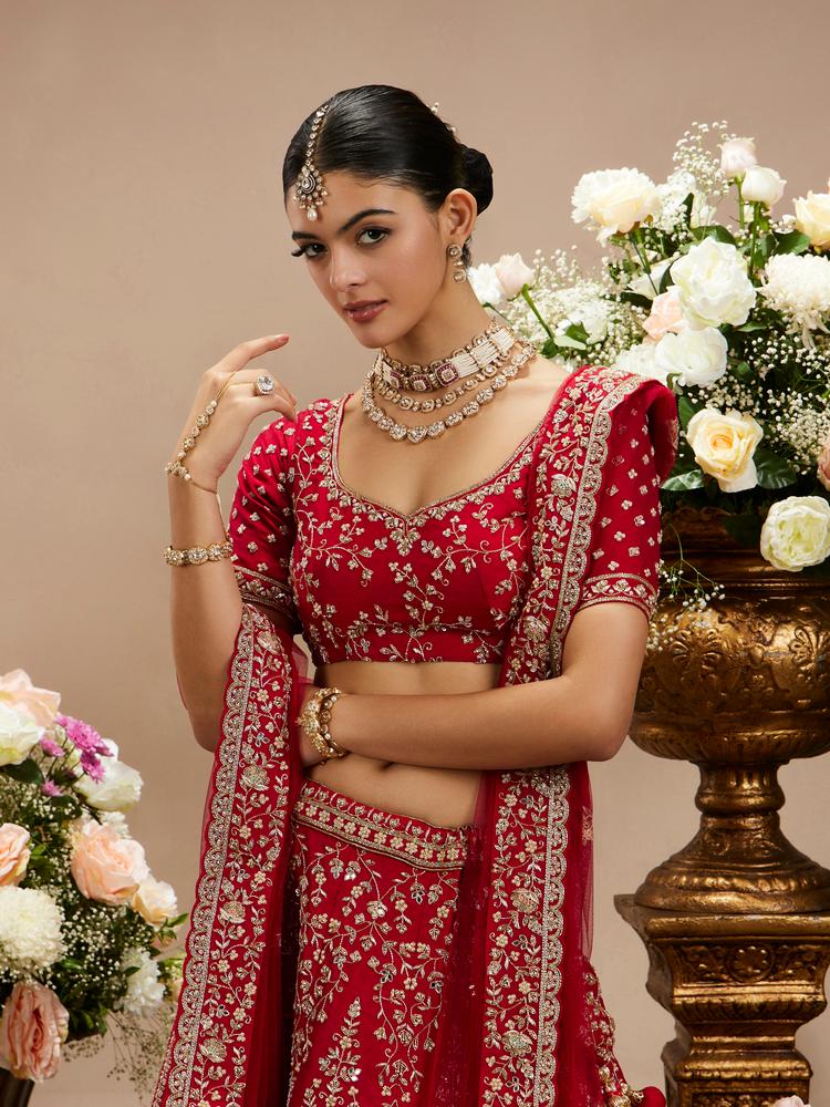 Twamev Women Scarlet Red Floral Embroidered Lehenga with Darbar Motifs