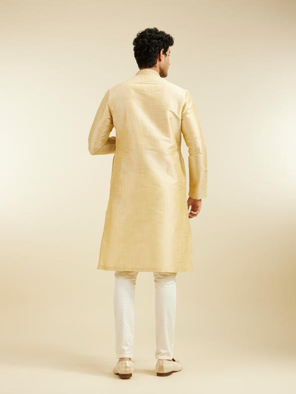 Diwas Men Light Fawn Self Textured Kurta with Embroidered Neckline