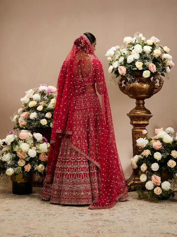 Twamev Women Scarlet Red Jaal Patterned Lehenga with Floral Motifs, Scalloped And Bel Buti Borders