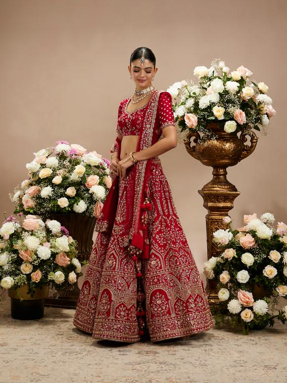 Twamev Women Scarlet Red Floral Embroidered Lehenga with Darbar Motifs