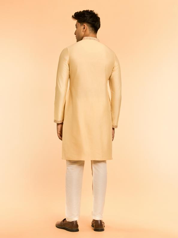 Diwas Men Beige Charm Kurta