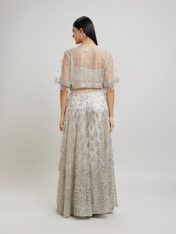 Twamev Women Fawn Flair Net-Embellished Indo Western