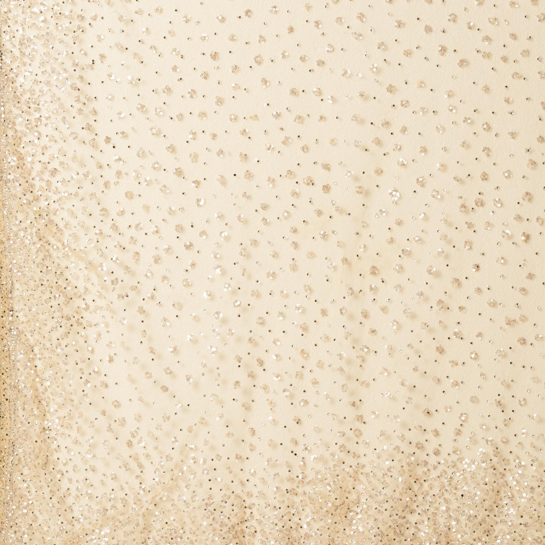 Twamev Women Cream Radiance Net Saree