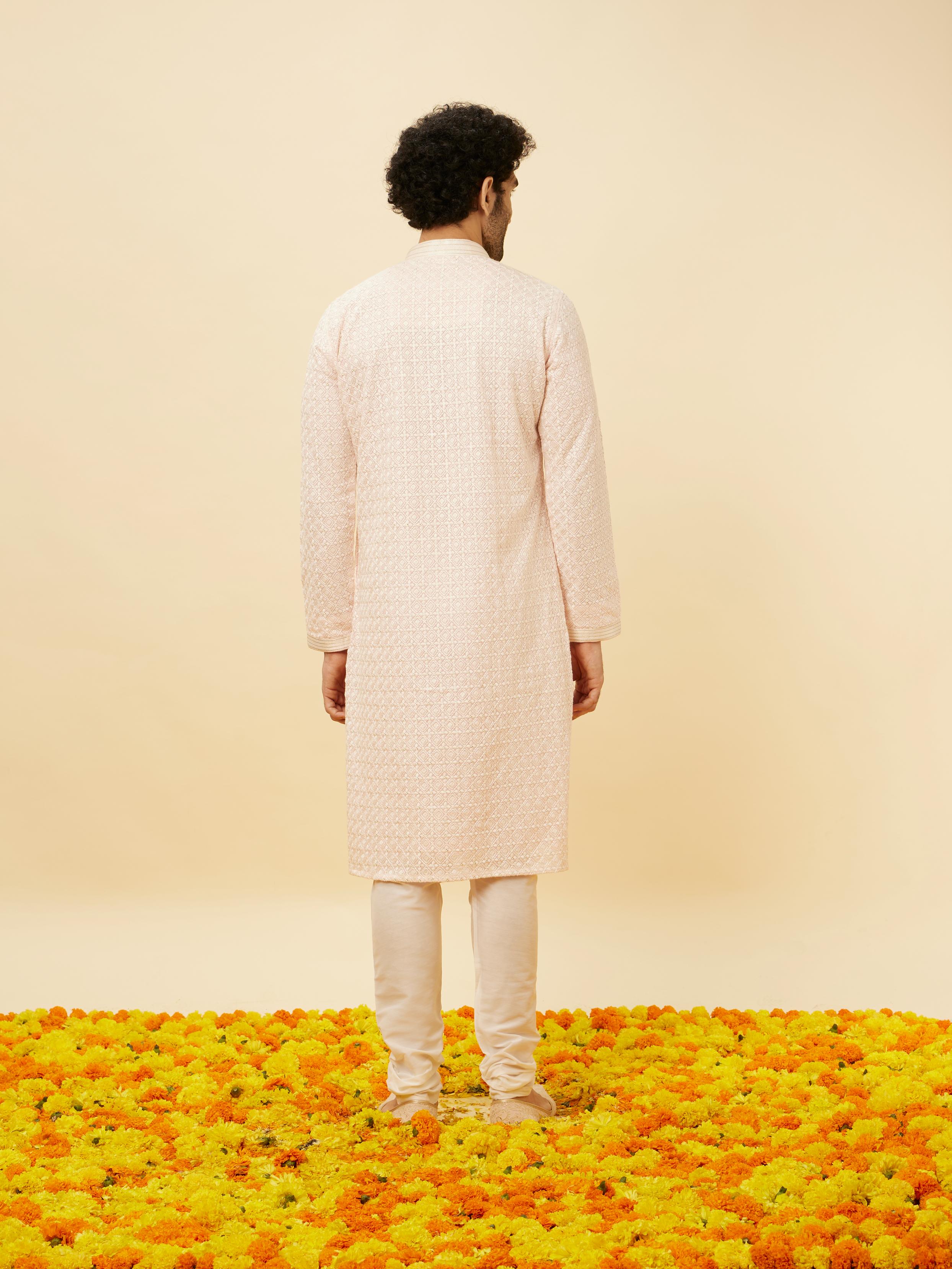 Twamev Men Rose Shadow Pink Chikankari Kurta