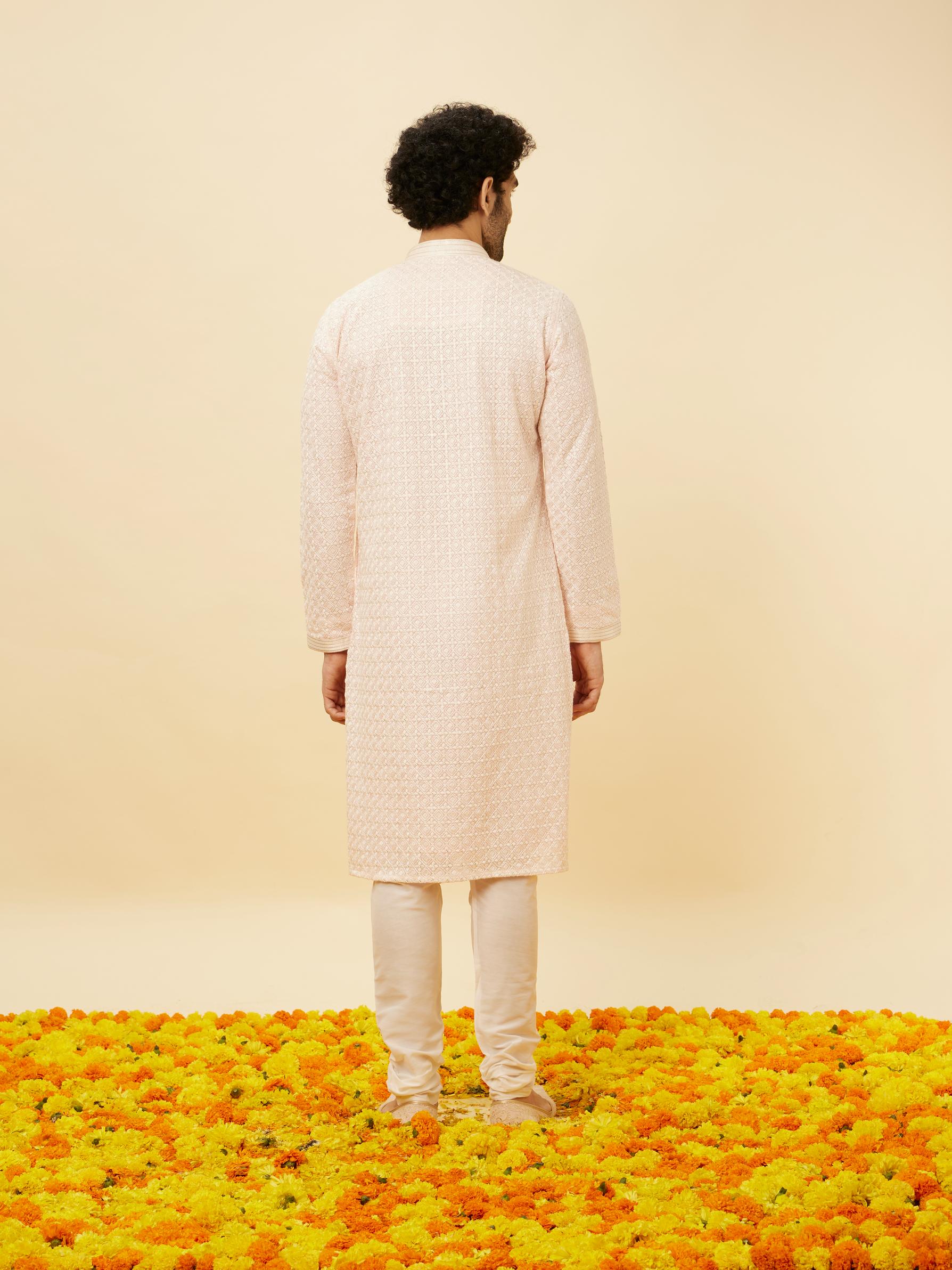 Twamev Men Rose Shadow Pink Chikankari Kurta