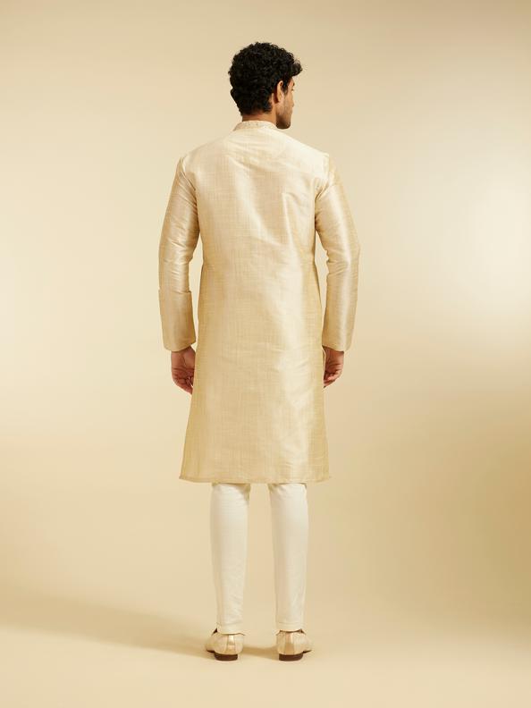 Diwas Men Pista Green Self Textured Kurta with Embroidered Placket