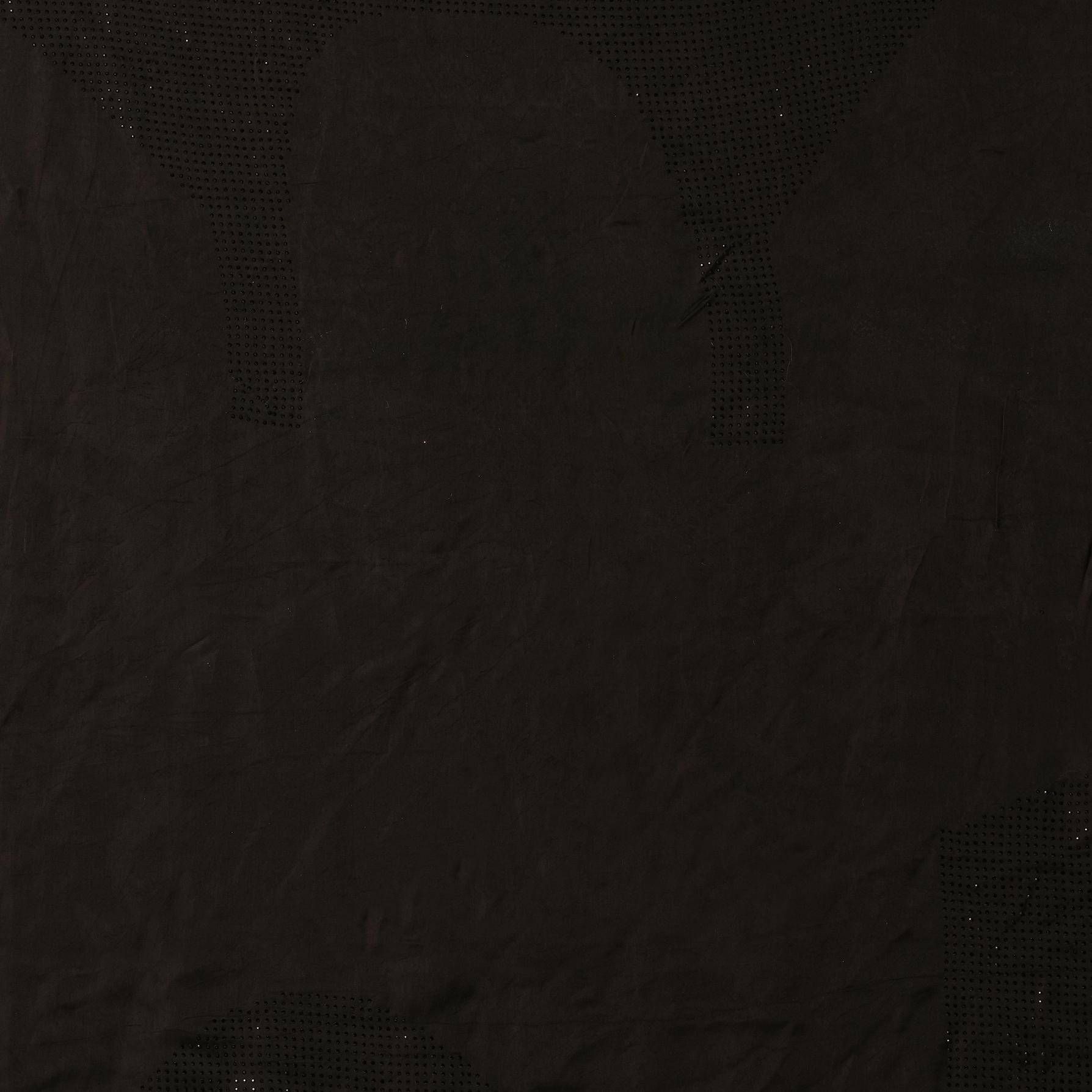 Twamev Women Black Night Elegance Organza Saree