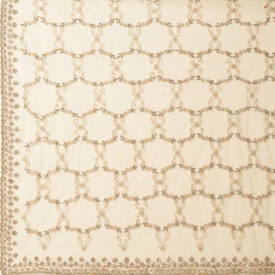 Twamev Women Creamy Delight Net Saree