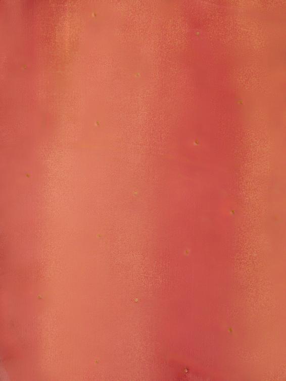 Twamev Women Glorious Rust Red Tissue Saree