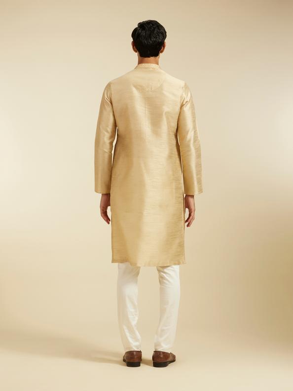 Diwas Men Cream Beige Kurta With Embroidered Neckline