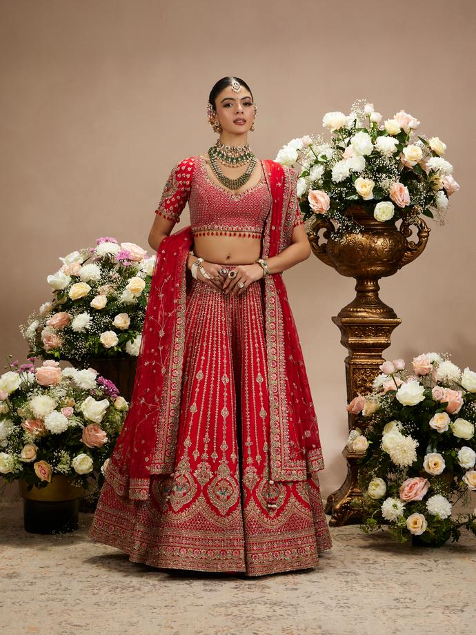 Twamev Women Rani Red Linear Patterned Lehenga with Floral Buta Motifs And Bel Buti Borders